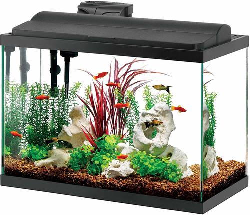 AQUEON AQUARIUM FISH TANK REVIEW – A 2 Z Reptiles