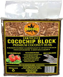 prococo chips review